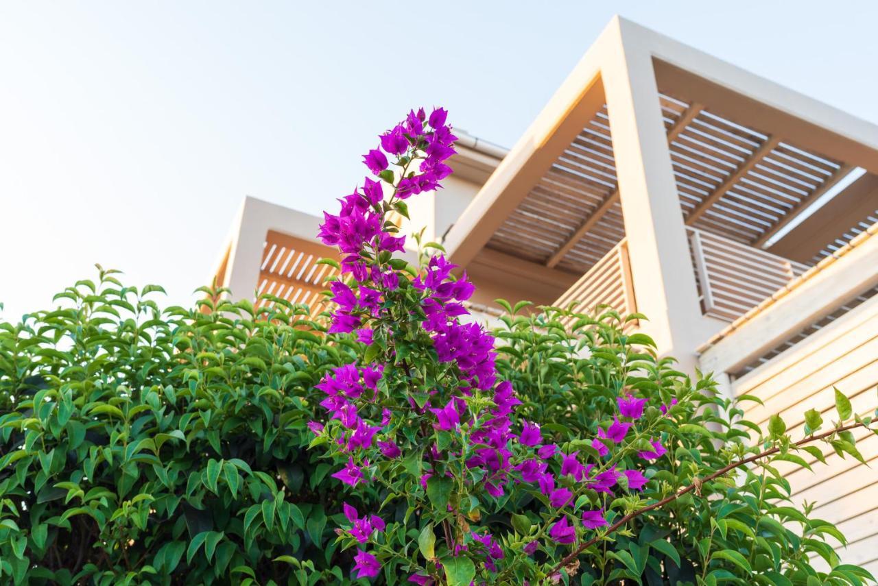 Aelia Home Suites Marathopoli Exterior photo